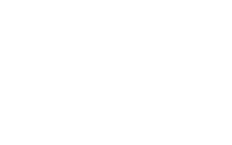 Attività